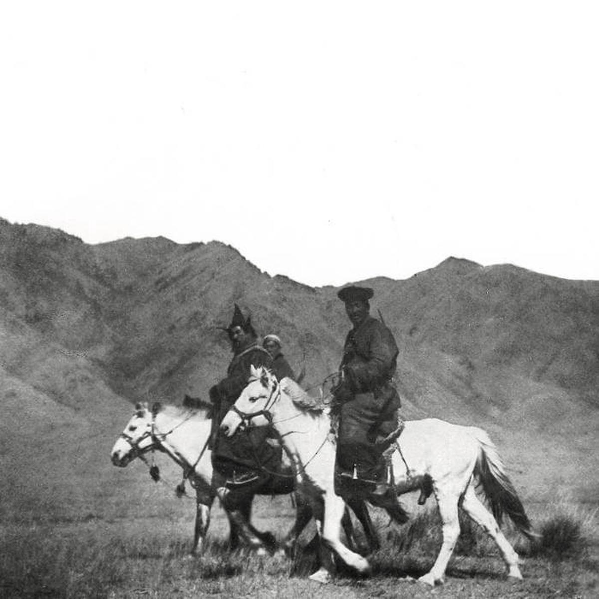 A Handful of Dust - The Drum Is the Shamans Horse (Vinyl)